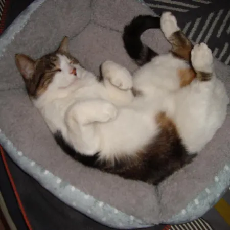 Bed & Breakfast 53bou Uglas